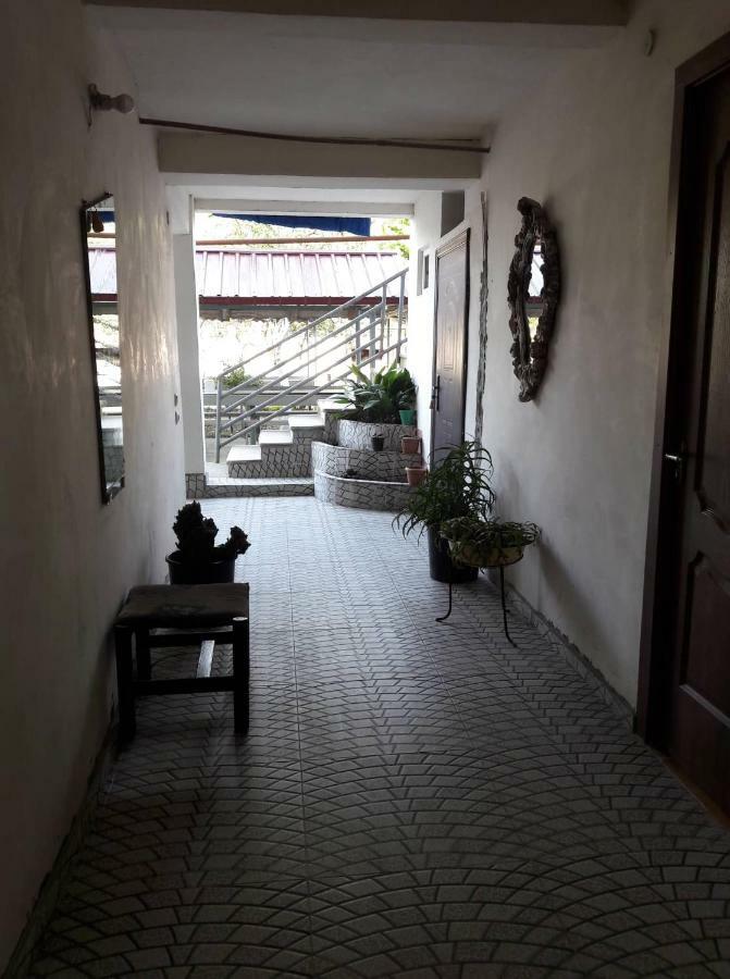Guest House Kobuleti #788 Εξωτερικό φωτογραφία